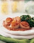 Seared Scallops