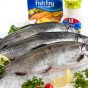 Fresh Farm Raised Trout-0