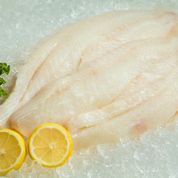 Fresh Alaska True Cod Fillet - per lb-0
