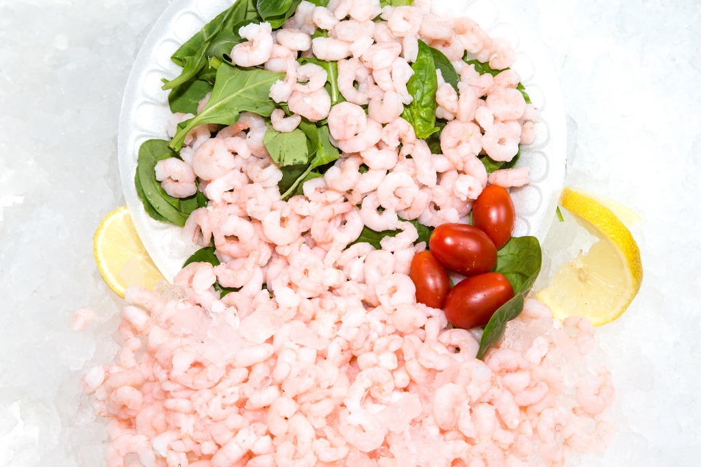 Cooked Salad Shrimp - per lb-0