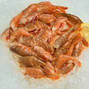 Fresh Alaskan Spot Shrimp / Large (Headless)-0